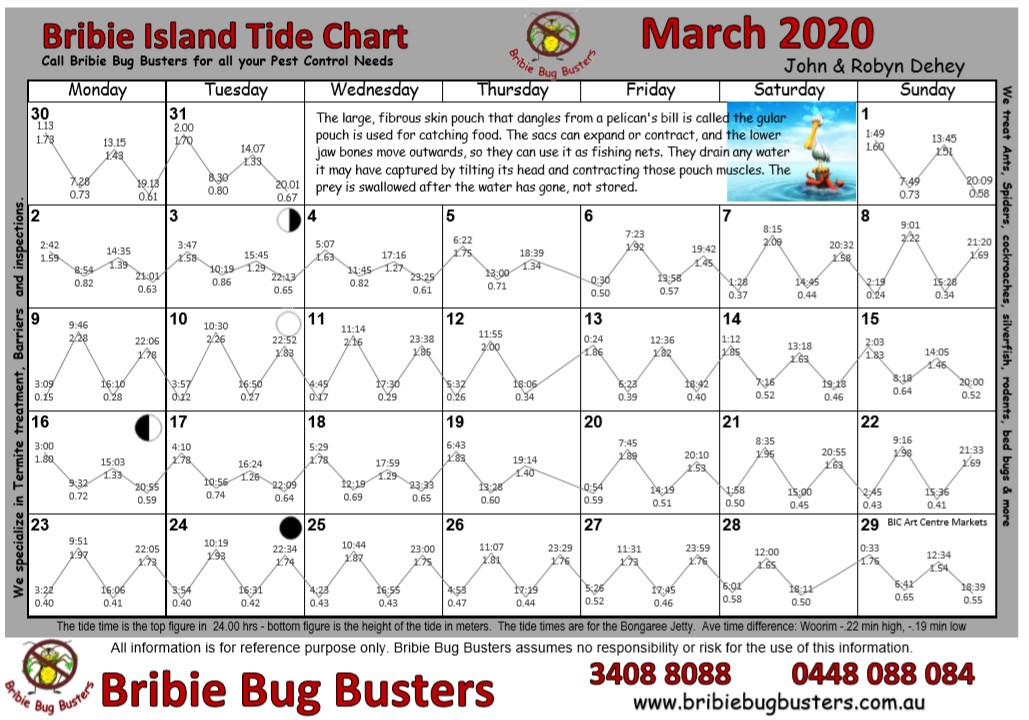 tide-chart-for-bristol-ri